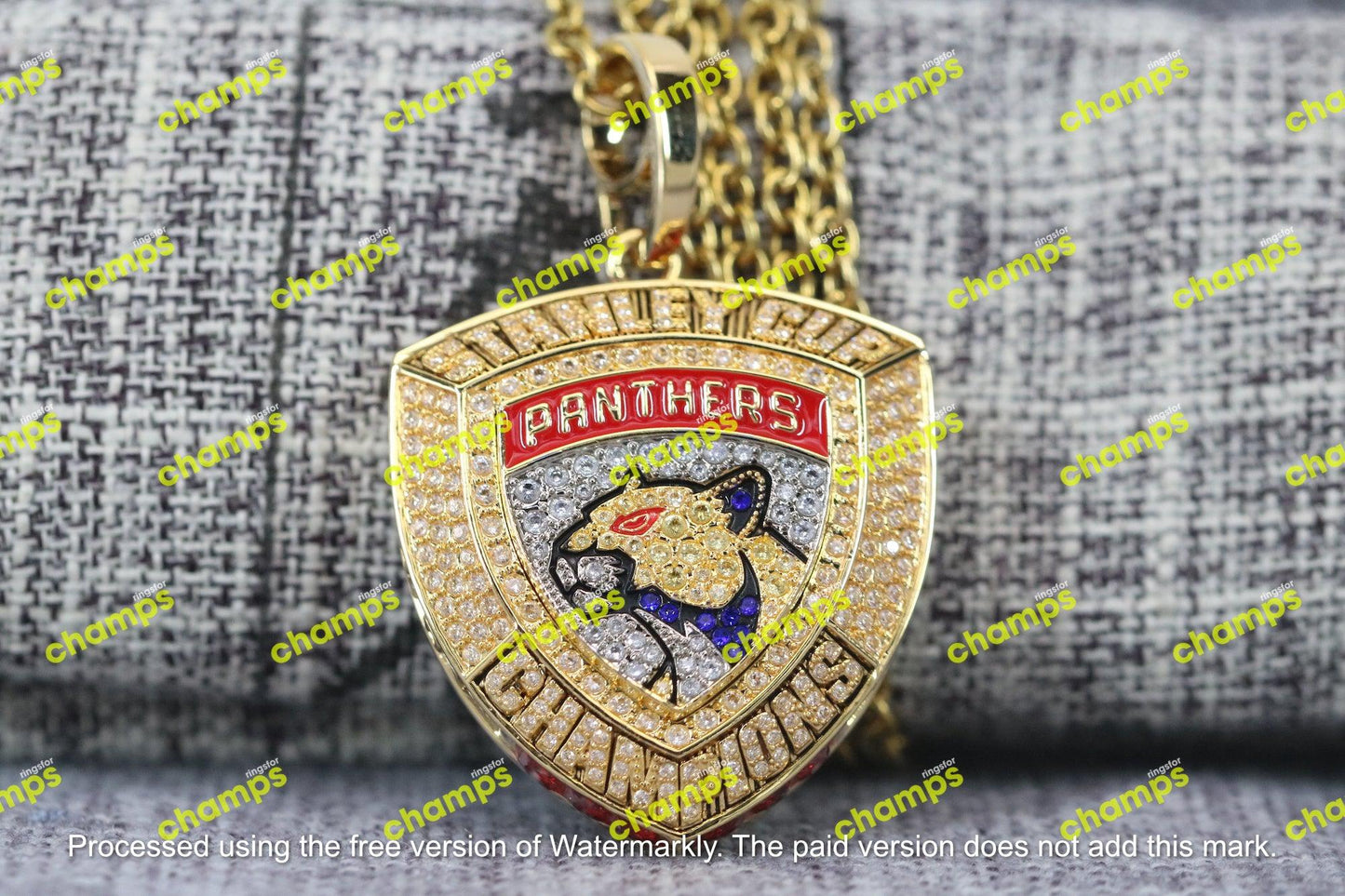 Florida Panthers Stanley Cup Championship Pendant Necklace (2024) - Premium Series - Rings For Champs, NFL rings, MLB rings, NBA rings, NHL rings, NCAA rings, Super bowl ring, Superbowl ring, Super bowl rings, Superbowl rings, Dallas Cowboys